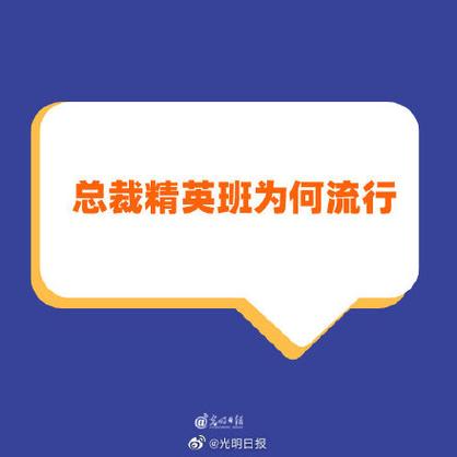 教育部:非学历教育不得冠以总裁精英等名义